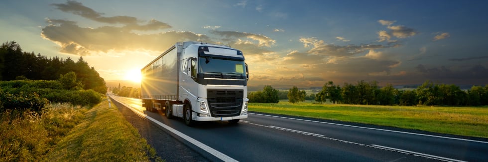 Camion 