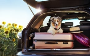 Bien charger sa voiture pour les vacances