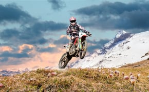 Top pneu cross/enduro/trial