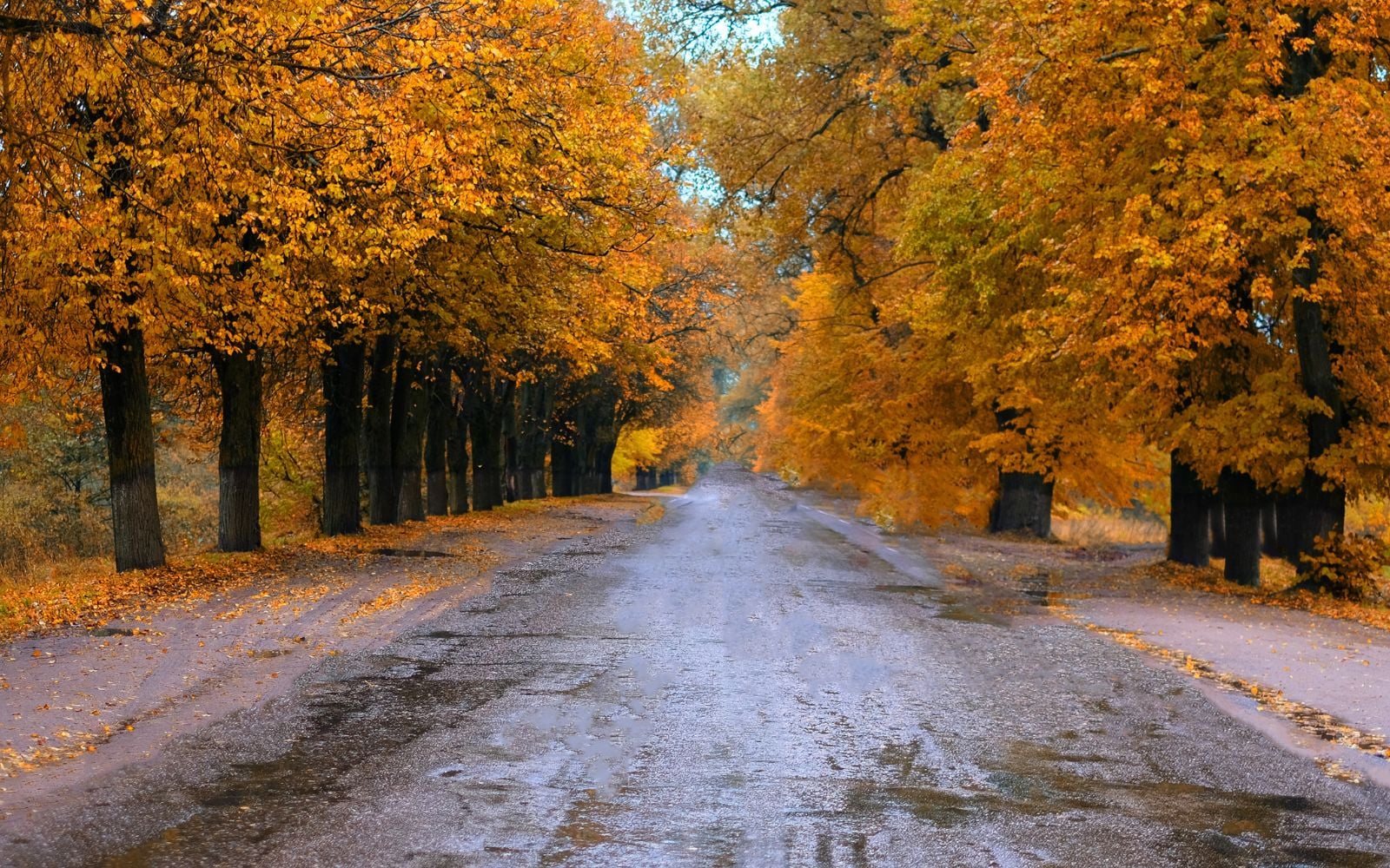 image meteo automne
