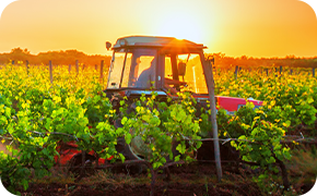 Agricole