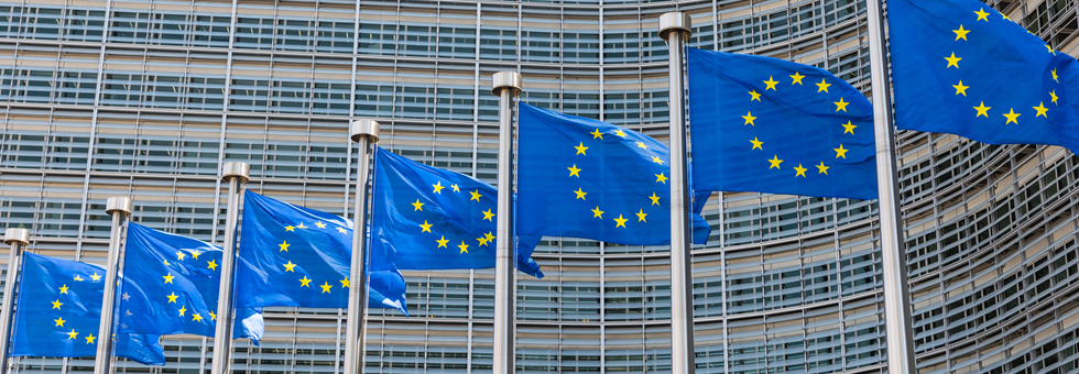 drapeaux européens 