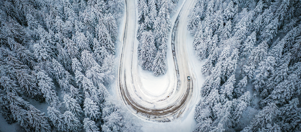 route enneigée au milieu des arbres 