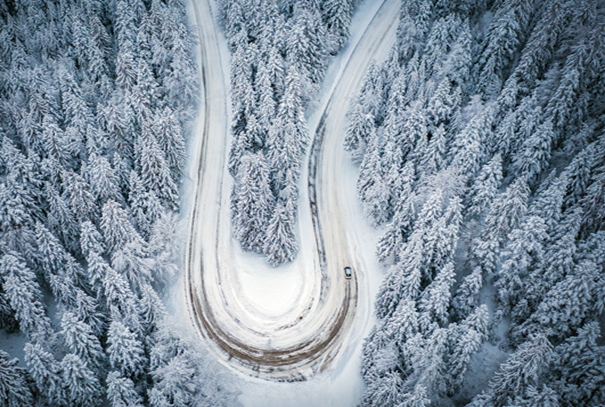 route enneigée au milieu des arbres 