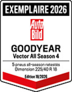 VECTOR ALL SEASON 4 award