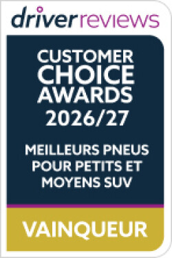 PILOT SPORT 4 SUV award