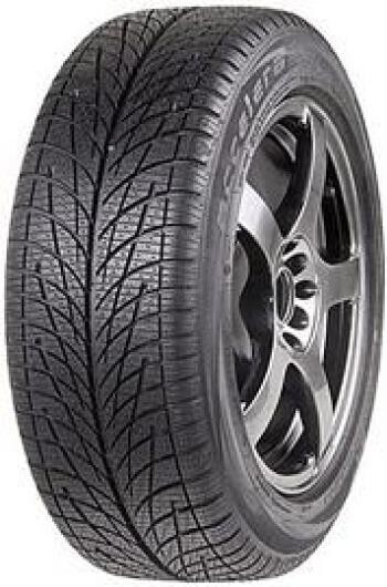 Pneu Accelera SNOW