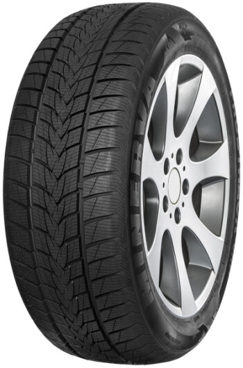 Pneu Minerva FROSTRACK UHP