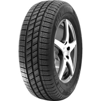 Pneu Delinte AW6-VAN