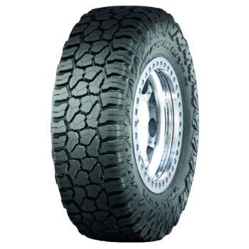 Falken WILDPEAK R T01