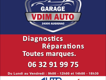VDIM AUTO