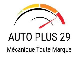AUTO PLUS 29