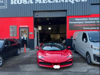 ROSA MECANIQUE
