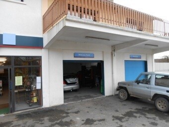 DIESELEC AREDIEN