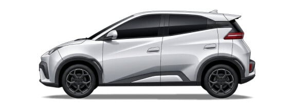 BYD DOLPHIN SURF